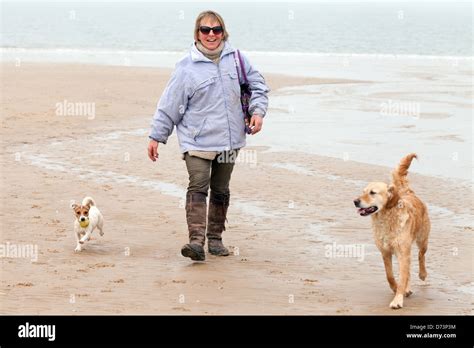 A woman walking her dog dogs on the beach, Holkham Beach, North Norfolk coast, East Anglia, UK ...