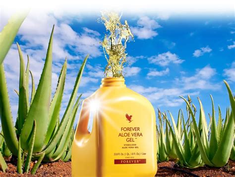 Aloe Vera De Forever Living Products