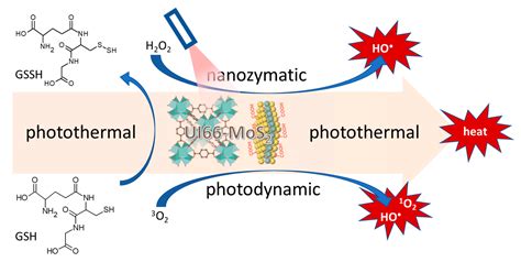 Ijms Free Full Text Applications Of Antimicrobial Photodynamic Therapy Against Bacterial