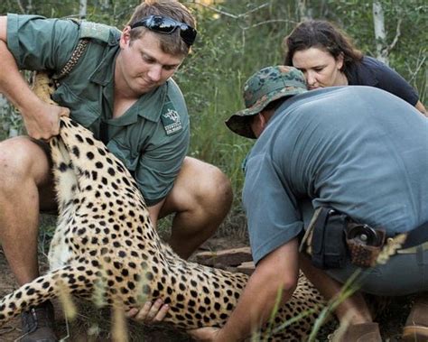 Enseleni Nature Reserve Richards Bay All You Need To Know Before You Go