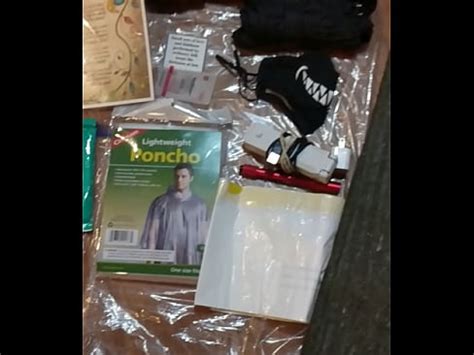 Sexy Activism By Max Shenanigans Xvideos