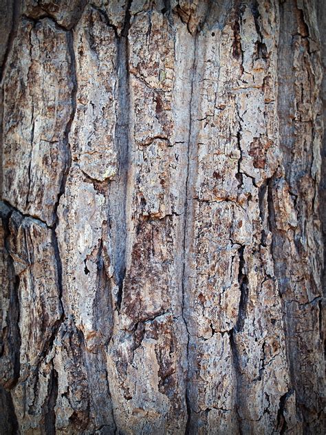 100 Free Barn Wood Texture Barn Images Pixabay