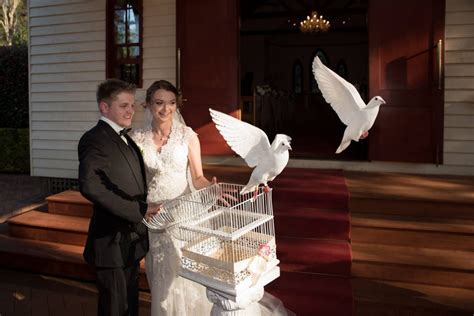 Wedding Doves