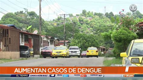 Telemetro Reporta On Twitter Un Total De 153 Casos De Dengue Se