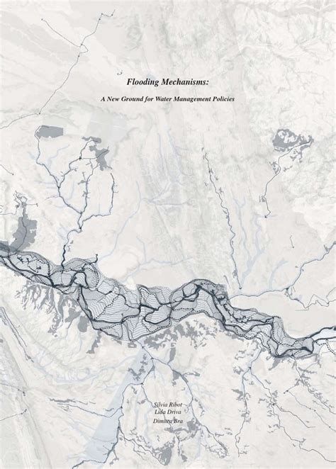 Flooding Mechanisms Aa Landscape Urbanism S Ribot L Driva D Bra