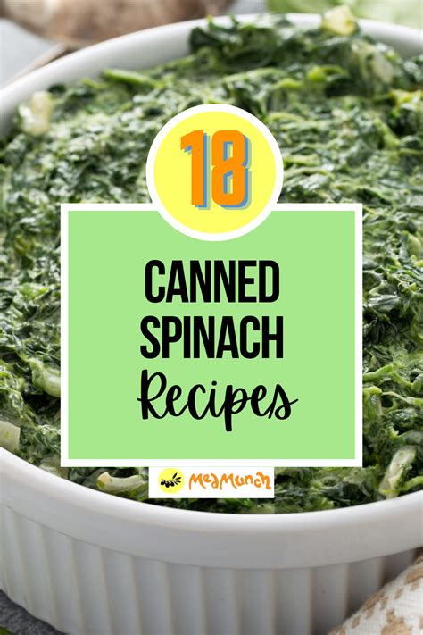 18 Best Canned Spinach Recipes to Try Today - Medmunch