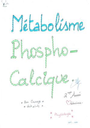 Calaméo Métabolisme Phospho Calcique