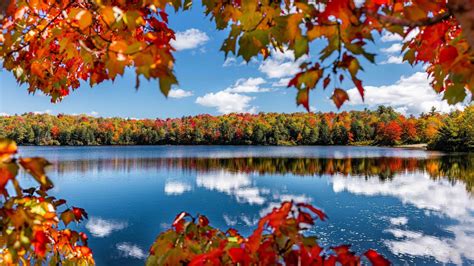 The Beauty Of Peak Fall Foliage 🍁 Youtube