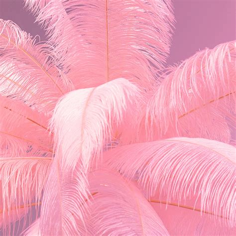 Kare Feather Palm L Mpara De Pie Con Plumas Rosa Lampara Es