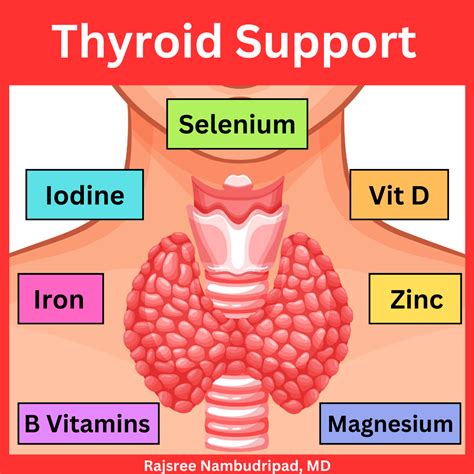 Tips For A Healthy Thyroid Oc Integrative Medicine