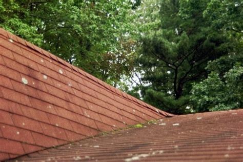 How To Assess Storm Damage Ryson Roofing