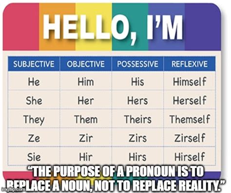 The Purpose Of A Pronoun Is To Replace A Noun Not To Replace Reality