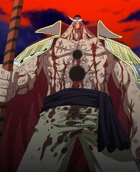 File talk:Whitebeard Dies While Standing.png | One Piece Wiki | Fandom ...