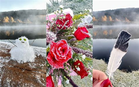 Fotos Boneco De Gelo Flores E Pena Congeladas Sul De Mg Tem Menor