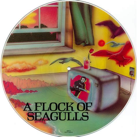 A Flock Of Seagulls - A Flock Of Seagulls (Vinyl, LP, Album, Picture ...