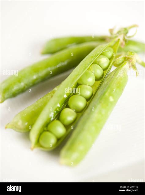 Podding Peas Hi Res Stock Photography And Images Alamy