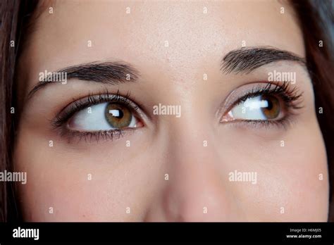 Gorgeous Brunette Brown Eyes Hi Res Stock Photography And Images Alamy