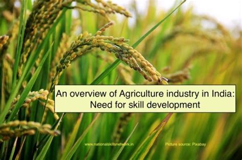 An Overview Of Agriculture Industry In India Need For Skill Development