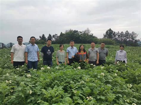 我院马铃薯团队赴恩施州农科院学习交流 重庆三峡农业科学院