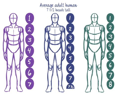 Drawing humans [1/?]: Basic proportions | Body proportion drawing ...