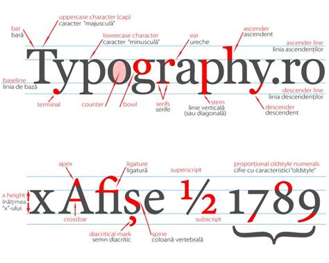 Anatomy Of Typeface Graphic Elements Of Printing Letters