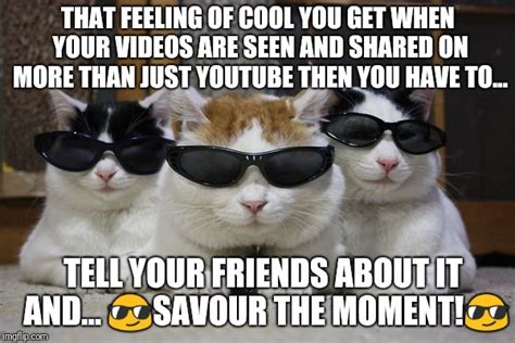 coolcats Memes & GIFs - Imgflip