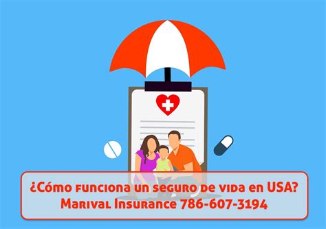 C Mo Funciona Un Seguro De Vida En Usa Oficinas De Seguros De Salud