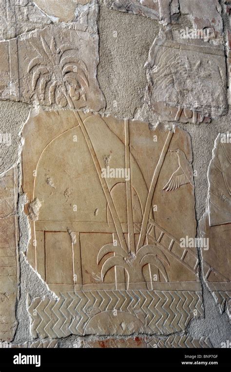 The Land Of Punt Temple Of Hatshepsut C 1490 Bc18th Dynasty New