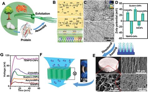 Synthesis Pathway Of Biological Nanofibrous Generator A Schematic