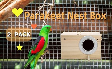 Amazon Hiceeden Pack Parakeet Nest Box Natural Wood Bird