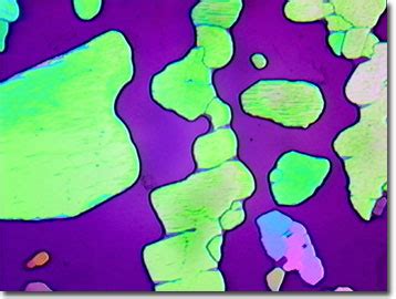 Molecular Expressions Science Optics You Olympus Mic D Polarized