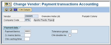 Sap Fico Real Time Issues Duplicate Invoice Check