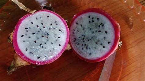 Dragon Fruit How To Cutting In Telugu Villagevenkatesh Dragon