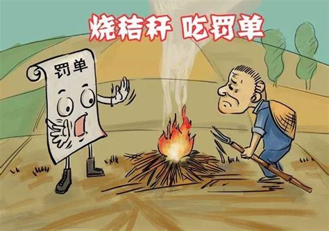 露天焚燒秸稈違法，違者依法從嚴查處 每日頭條