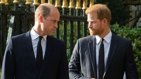 Prince Harrys Resentment To Calculated William Who He Thinks Made