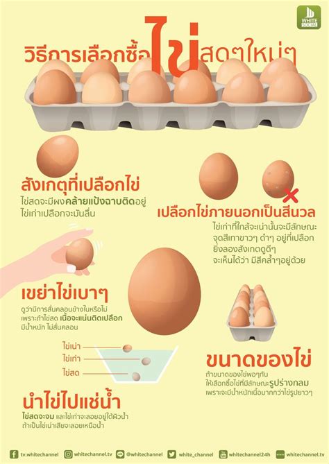 เคล็ดไม่ลับ เลือกซื้อไข่ 🍳 ให้ได้ สด ๆ ใหม่ ๆ ผลิตภัณฑ์เพื่อสุขภาพ