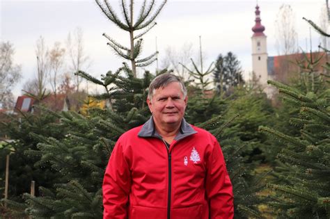 Christbaumwald in Fernitz Mellach Christbäume mit Fernitzer Wurzeln