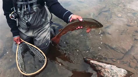 Fly Fishing At Taylor River In Colorado Youtube