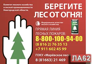 Аншлаги и знаки в лес