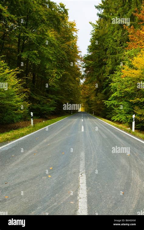 A Road Through An Autumn Forest Stock Photo Alamy