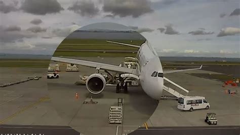 Auckland Airport Cctv Shows Air Nz Baggage Handler Unload Secret Meth