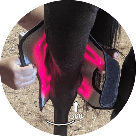 Laserwrap® Hockkneefetlock Laser System Spectra Therapy Laserwrap