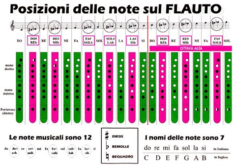 Posizioni Delle Le Note Sul Flauto Completo Prof Fabrizio Pastori