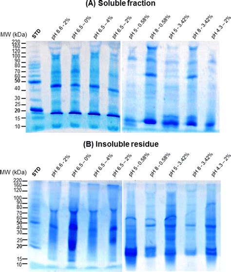 Sds Page Patterns Of Proteins In Soluble Fraction A And Insoluble