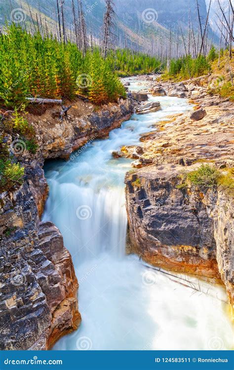 Marble Canyon In Kootenay National Park Near Banff In Canada Stock