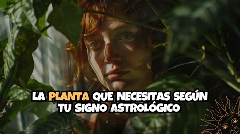 La Planta que Necesitas Según Tu Signo Astrológico YouTube