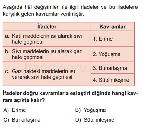 S N F Fen Bilimleri Maddenin Hal De I Imi Testi Z Test Z