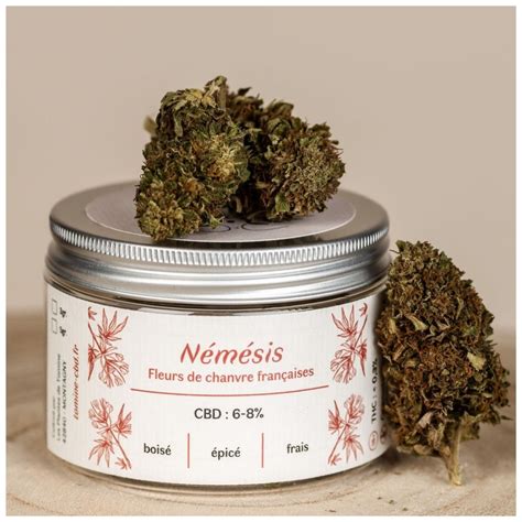 Fleurs De Cbd Bio N M Sis Les Plantes De Tomine