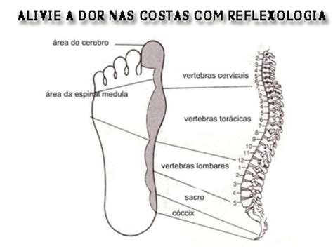 Reflexologia Podal 👣 On Instagram “boa Noite 👣💚 🍃 Conheça Mais