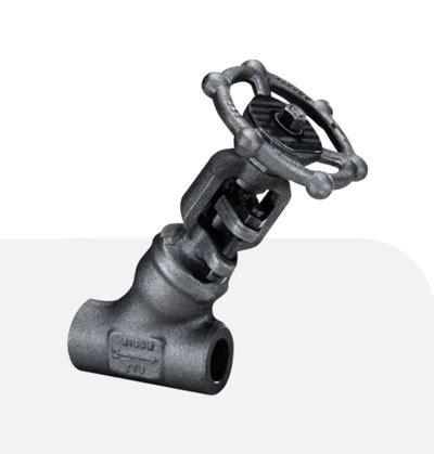 Jual Y Pattern Globe Valve Bonney Forge Distributor Bonney Forge